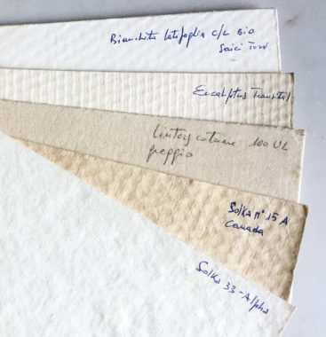 Swatches of cellulose used in the paper mill where Ferrari worked